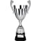 Spartan Cup