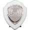 Reward Shield & Front Arctic White & Silver