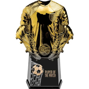 Invincible Shirt Player of Match Gold 220mm