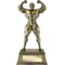 The Classic Strongman Award Metallic Antique Gold 300mm