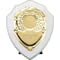 Reward Shield & Front Arctic White & Gold