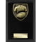 Cobra Plaque Rugby Shirt & Ball Award Epic