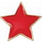 Scholar Pin Badge Star