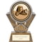 Apex Boxing Award Gold & Silver