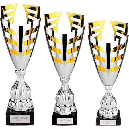 Paramount Laser Cup Silver & Gold