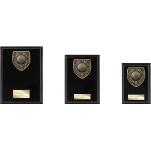 Cobra Plaque Golf Longest Drive Award Epic