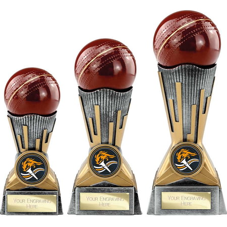 Digital Cricket Award Antique Silver & Gold