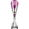 Eclectic Trophy Silver & Purple