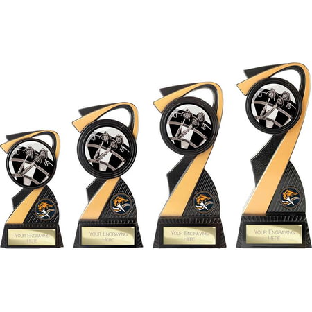 Mania Tower Darts Award Carbon Black & Gold