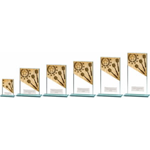 Mustang Darts Glass Award
