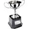 Tavistock Collection Nickel Plated Cup