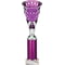 Cobra Star Multisport Tube Trophy Silver & Purple