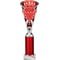 Cobra Star Multisport Tube Trophy Silver & Red