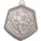 Falcon Football Medal