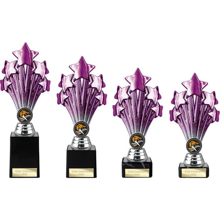 5 Star Trophy Purple and Silver