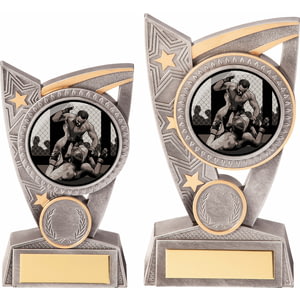 Triumph MMA Award