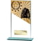 Mustang Martial Arts Glass Award