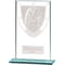 Millennium Martial Arts Glass Award