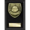 Cobra Plaque Most Improved Player Award Epic
