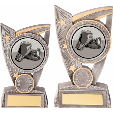 Triumph Boxing Award
