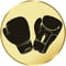 Boxing Gloves Gold 25mm