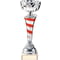 Eternity Cup Silver & Red