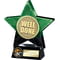 Superstar Well Done Award Green & Black