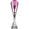 Eclectic Trophy Silver & Purple