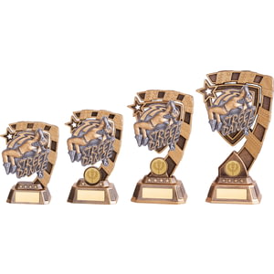 Euphoria Street Dance Award Female