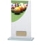 Colour Curve Pool Glass Award