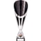 Rising Stars Deluxe Plastic Lazer Cup Silver & Black