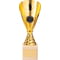 Rising Stars Premium Plastic Trophy