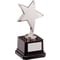 The Challenger Star Award