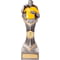 Falcon Referee Award
