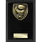Cobra Plaque Boxing Award Epic