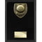 Cobra Plaque Pool Award Epic