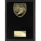 Cobra Plaque Running Award Epic