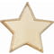 Scholar Pin Badge Star