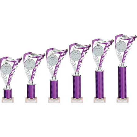 Frenzy Multisport Tube Trophy Silver & Purple