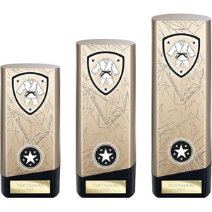 Prime Heavyweight Martial Arts Gold & Black
