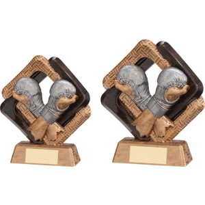 Sporting Unity MMA Fighter Award