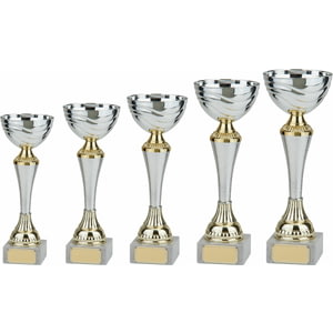 Everest Silver & Gold Cup