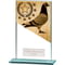 Mustang Pigeon Glass Award