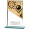 Mustang Pool Glass Award