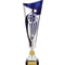 Champions Football Cup Silver & Blue