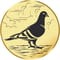 Pigeon Gold 25mm