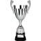 Spartan Cup