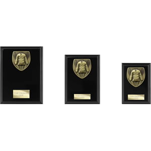 Cobra Plaque Martial Arts Gee Award Epic
