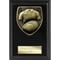 Cobra Plaque Rugby Shirt & Ball Award Epic