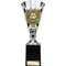 Cobra Star Cup Player of Year